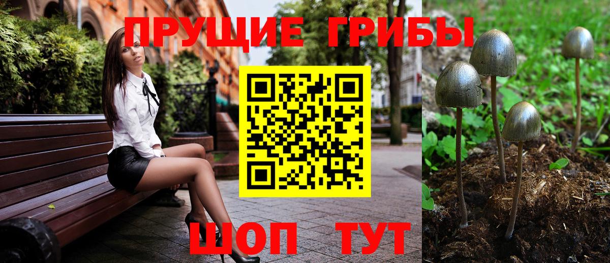 Учалы  закладка  Вход с VPN  Псилоцибиновые грибы Psilocybine cubensis 