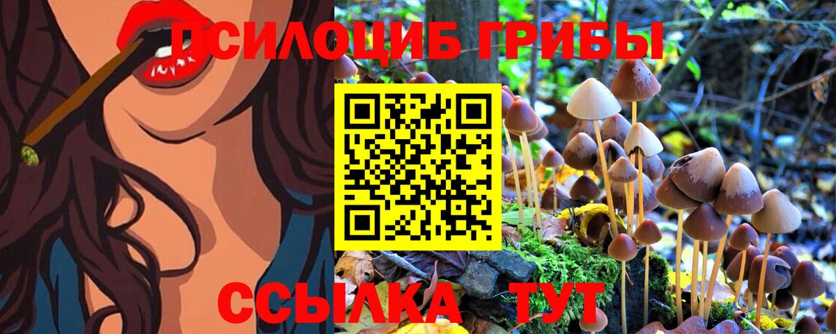 Галлюциногенные грибы GOLDEN TEACHER Учалы